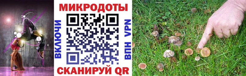 Псилоцибиновые грибы мицелий  Глазов 