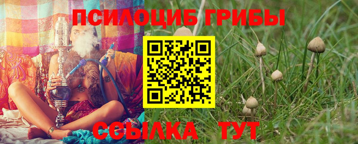 Галлюциногенные грибы прущие грибы Глазов