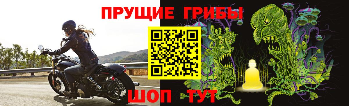даркнет сайт  Вход с VPN  Глазов  Псилоцибиновые грибы GOLDEN TEACHER 